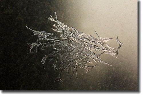 550字描写冬天的作文：美丽的冰窗花
