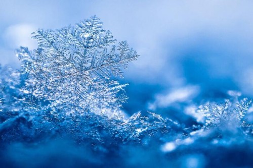 3篇描写冬天美丽的雪花的优秀作文